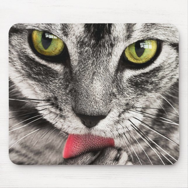 Mousepad Gatinho Lick (Frente)