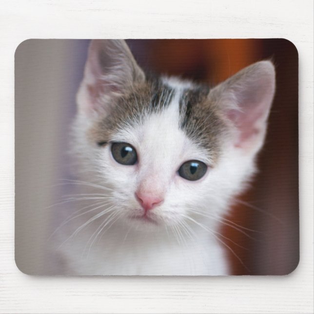 Mousepad Gatinho manchado branco (Frente)