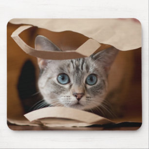 Mousepad Gatinho na bolsa de compra