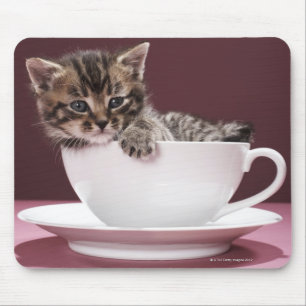 Mousepad Gatinho no copo e nos pires