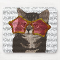 Gatinho nos óculos de sol das estrelas