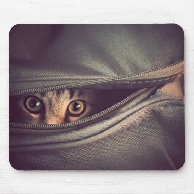 Mousepad Gatinho novo do gato malhado (Frente)