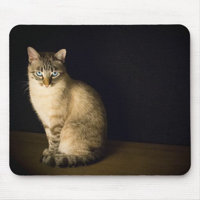 Mousepad Gatinho olhos azuis (Frente)