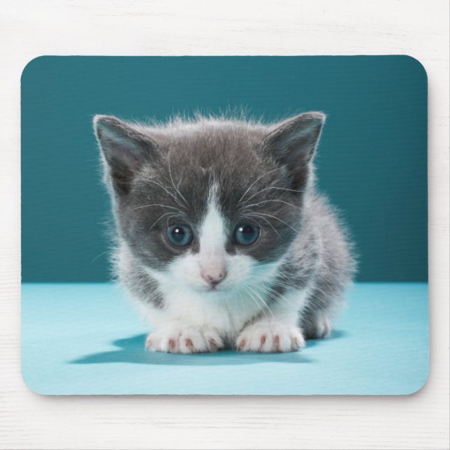 Mousepad Gatinho pequeno (Frente)