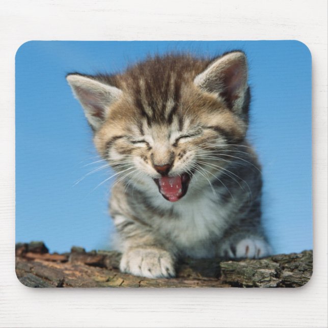 Mousepad Gatinho pequeno em uma árvore (Frente)