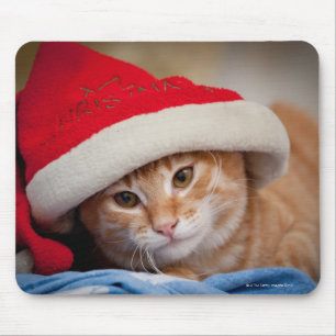 Mousepad Gatinho pequeno no chapéu vermelho do Natal