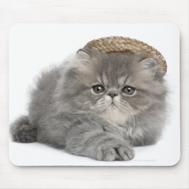 Mousepad Gatinho Persa (2 meses de idade) vestindo palha (Frente)