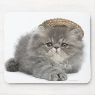 Mousepad Gatinho persa (2 meses velho) que veste uma palha