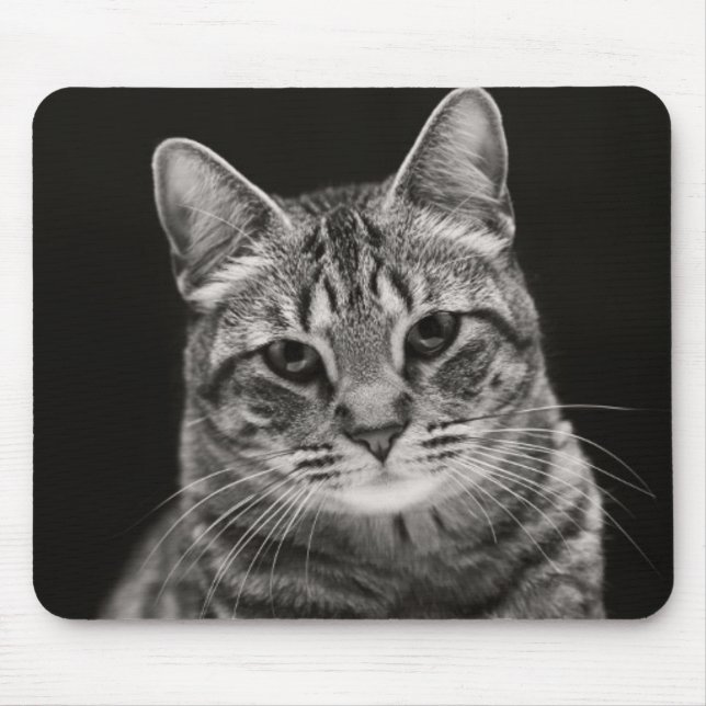 Mousepad Gatinho preto do gato malhado (Frente)