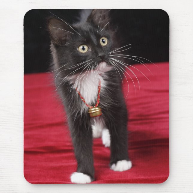 Mousepad Gatinho preto e branco de pelo curto, 2 meses e me (Frente)