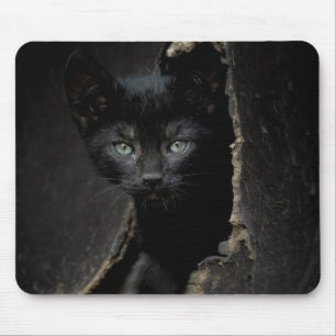 Mousepad Gatinho preto pequeno