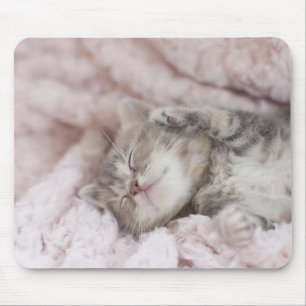 Mousepad Gatinho que dorme na toalha