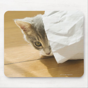 Mousepad Gatinho que esconde no saco de papel