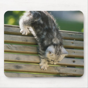Mousepad Gatinho que move-se para baixo no banco