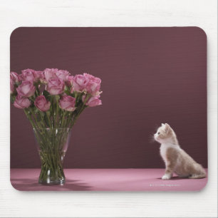 Mousepad Gatinho que olha o vaso dos rosas