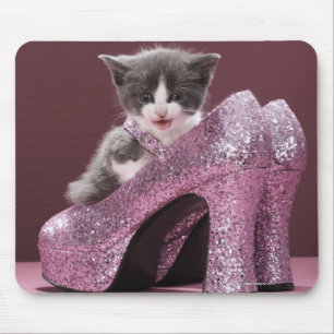 Mousepad Gatinho que senta-se em calçados do brilho