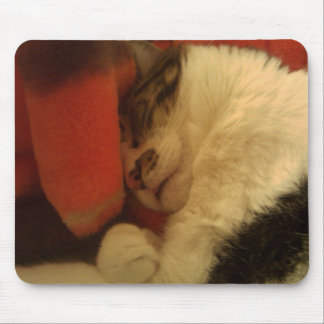Mousepad Gatinho sonolento