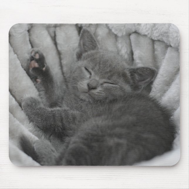 Mousepad Gatinho sonolento (Frente)