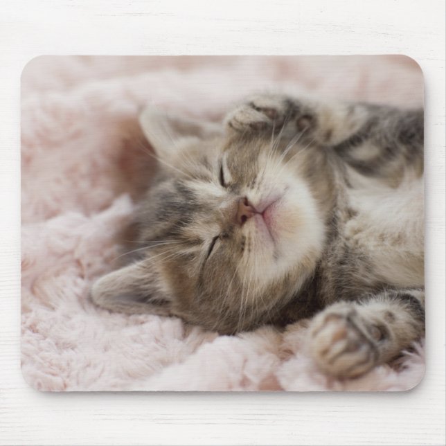 Mousepad Gatinho sonolento (Frente)