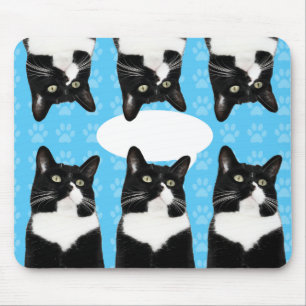 Mousepad Gatinho Triplo Fofo Declaração Épica de Gato Engra