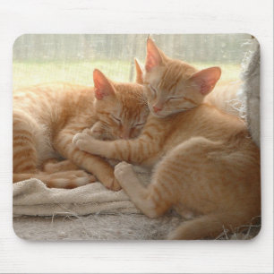Mousepad Gatinhos alaranjados