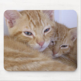 Mousepad Gatinhos alaranjados