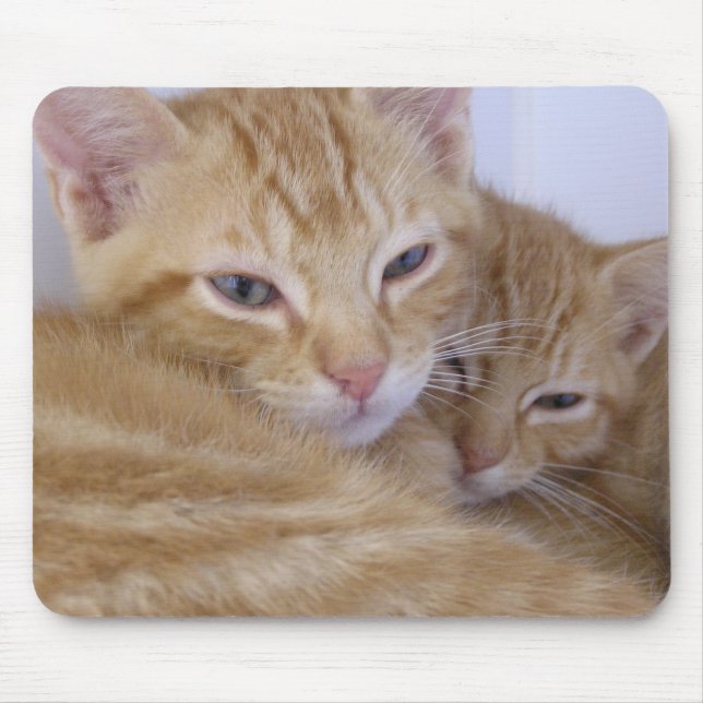 Mousepad Gatinhos alaranjados (Frente)