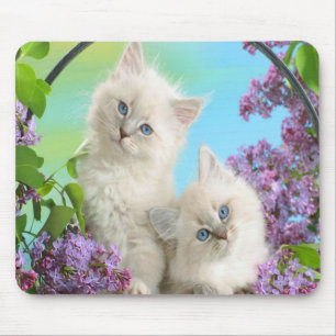 Mousepad Gatinhos bonitos