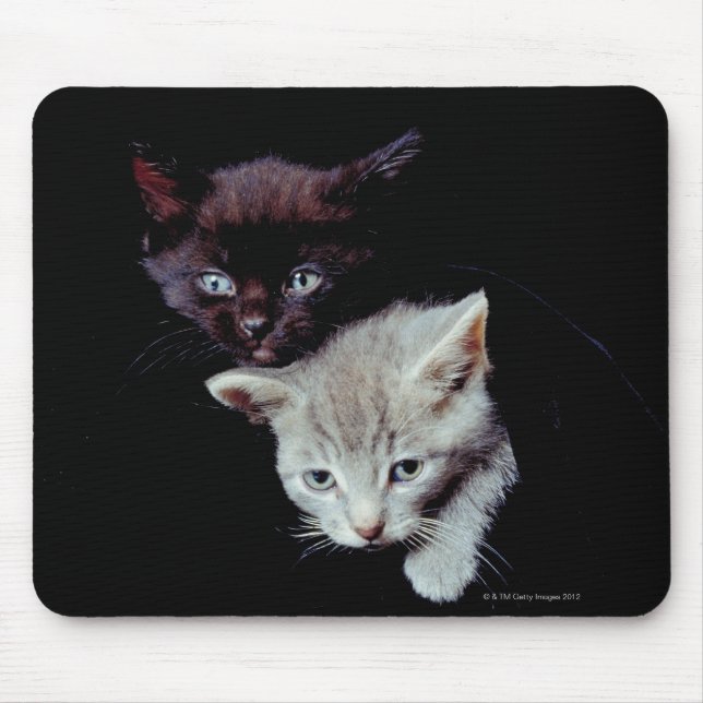 Mousepad Gatinhos claros e escuros (Frente)