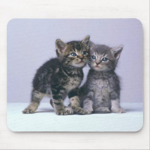 Mousepad gatinhos do cuddy!