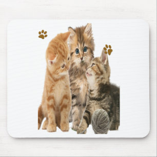 Mousepad Gatinhos em produtos do jogo