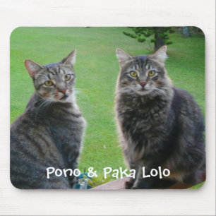 Mousepad Gatinhos Pono & Paka Lolo