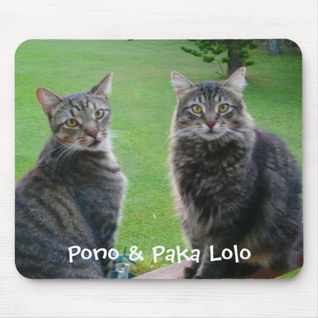 Mousepad Gatinhos Pono & Paka Lolo (Frente)