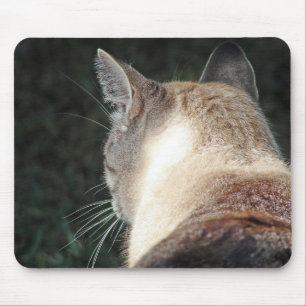 Mousepad Gato