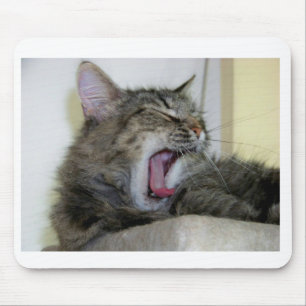 Mousepad gato