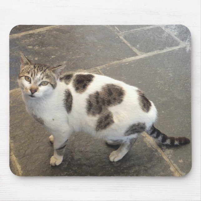 Mousepad Gato (Frente)