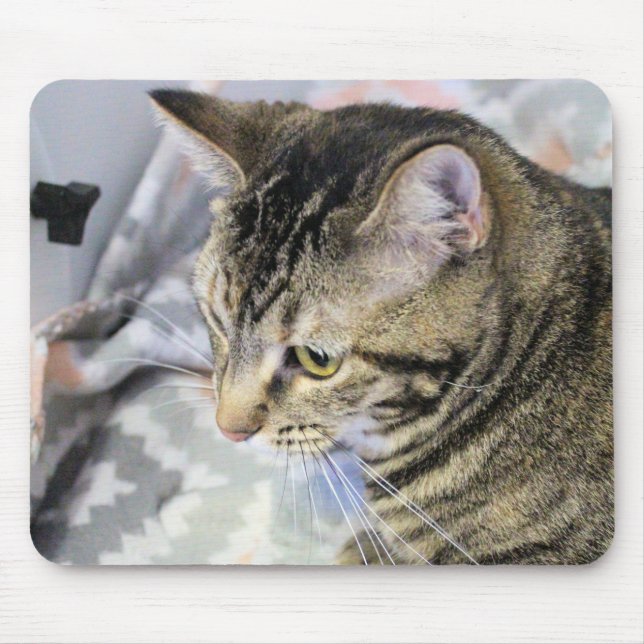 Mousepad Gato (Frente)
