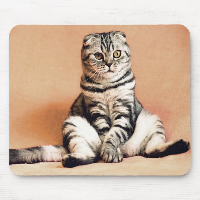 Mousepad Gato (Frente)