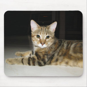 Mousepad Gato