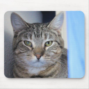 Mousepad Gato