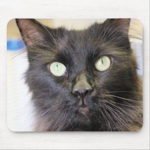 Mousepad Gato