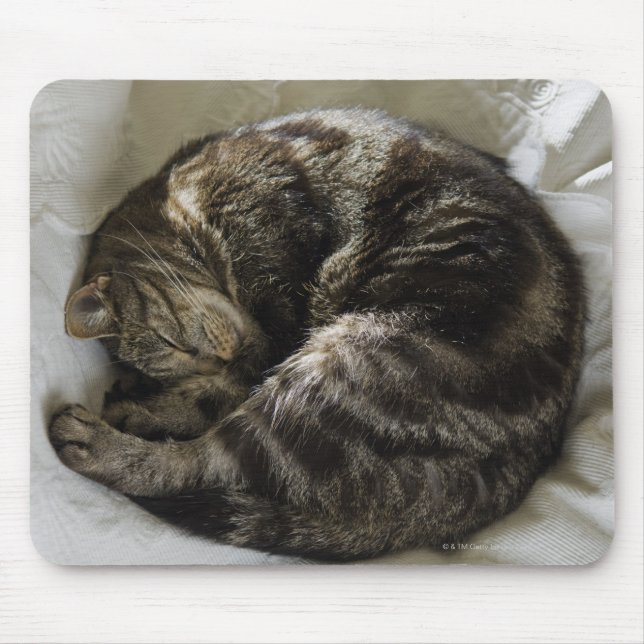 Mousepad Gato adormecido (Frente)
