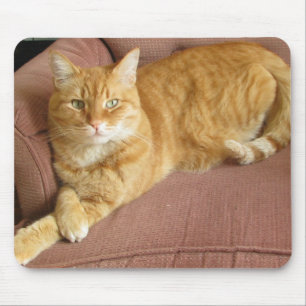 Mousepad gato alaranjado