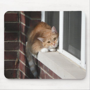 Mousepad Gato alaranjado