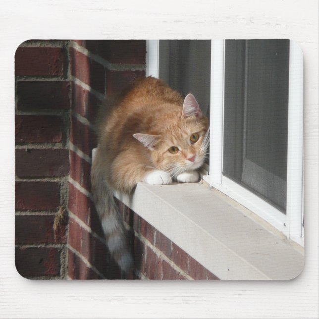 Mousepad Gato alaranjado (Frente)