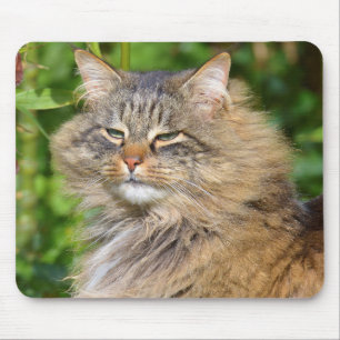 Mousepad Gato Angora