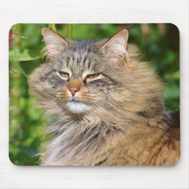 Mousepad Gato Angora (Frente)