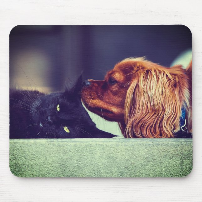 Mousepad Gato, Animal, Kitten (Frente)