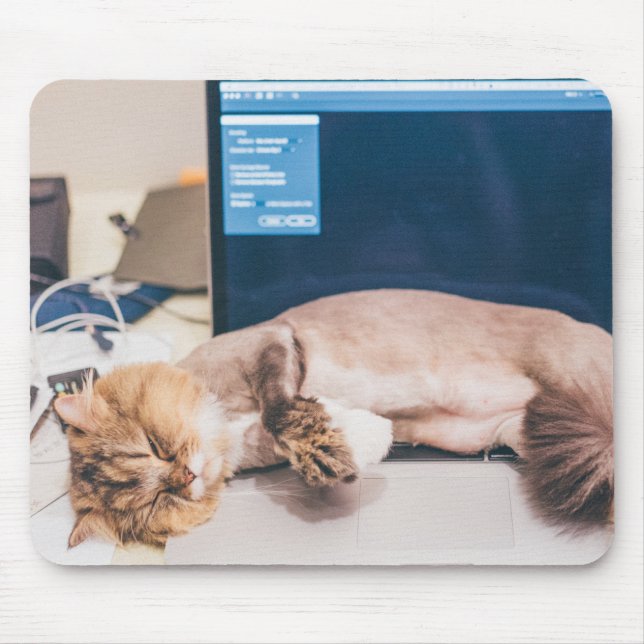 Mousepad Gato, Animal, Pet (Frente)
