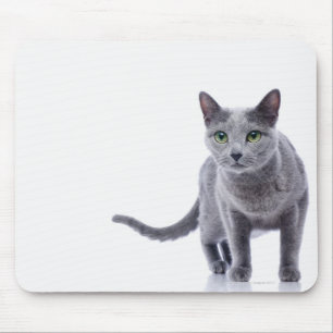 Mousepad Gato azul do russo